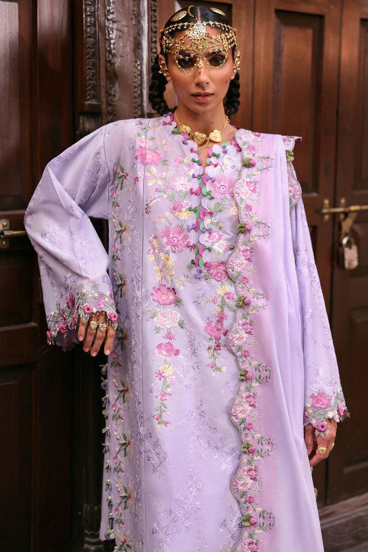 Zaha Festive ’25 || NILOFER